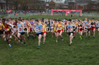 Intermediate boys 2019 New Balance English Schools Cross Country Champs, Temple Newsam, Leeds. Photo:  David T. Hewitson/Sports for All Pics